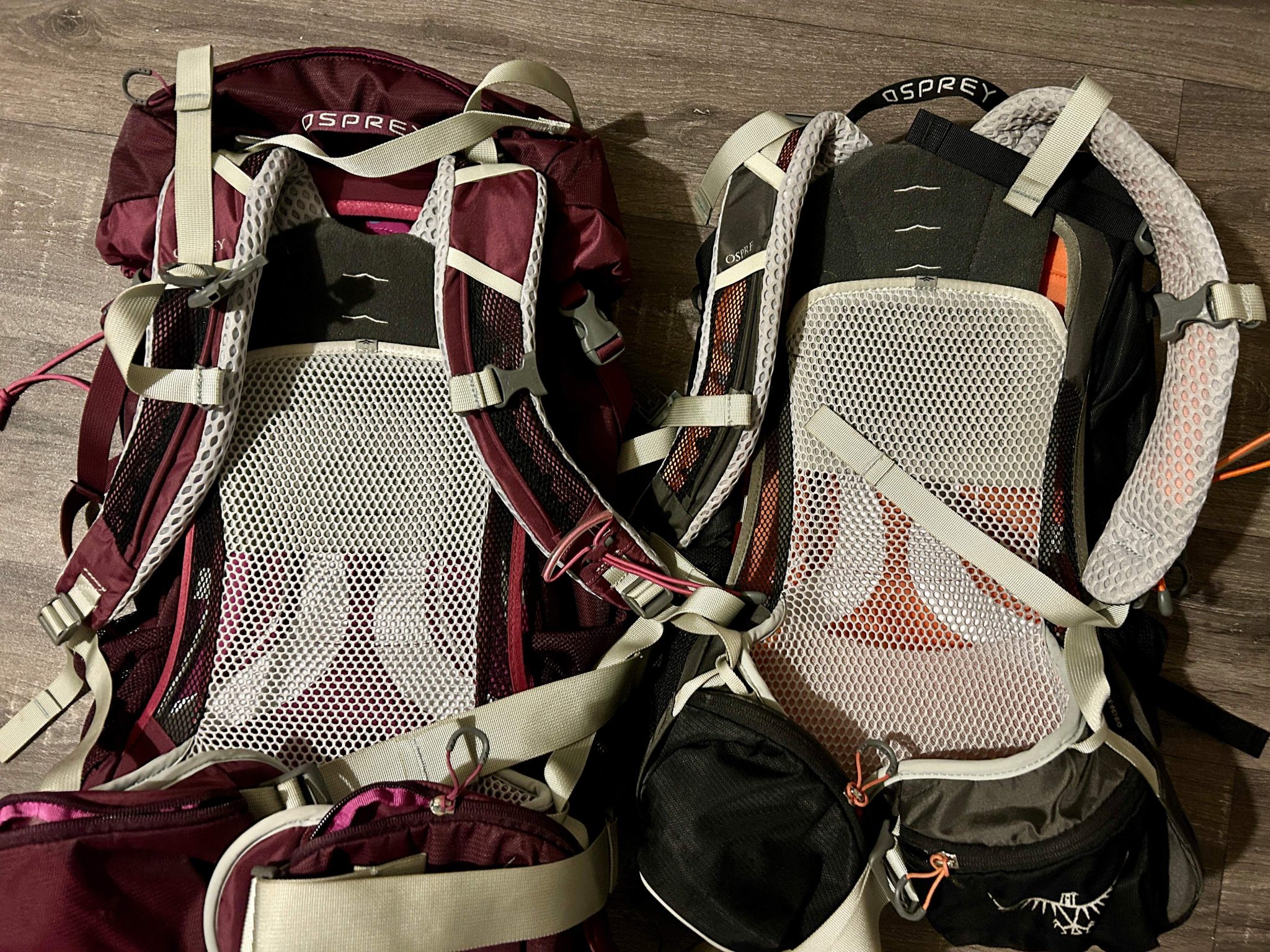 Is Osprey a Good Brand For Hiking Bags? Is it Worth It?