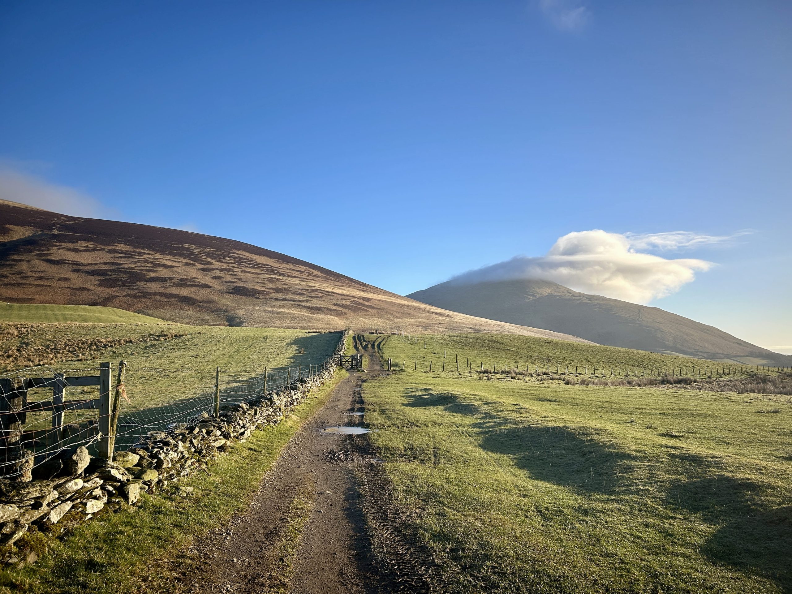 start of skiddaw from mallen dodd walk