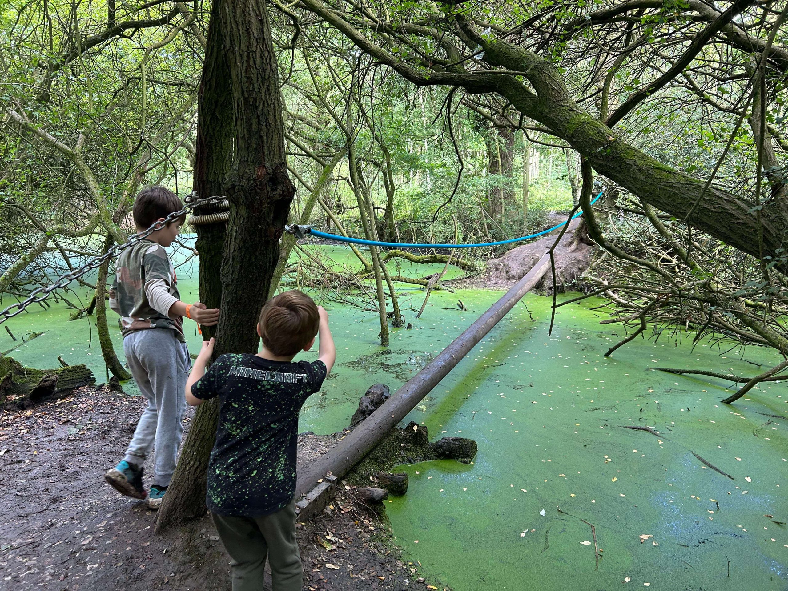 bridge swamp manley mere
